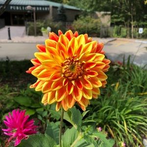 Meet your Posher, Claudia